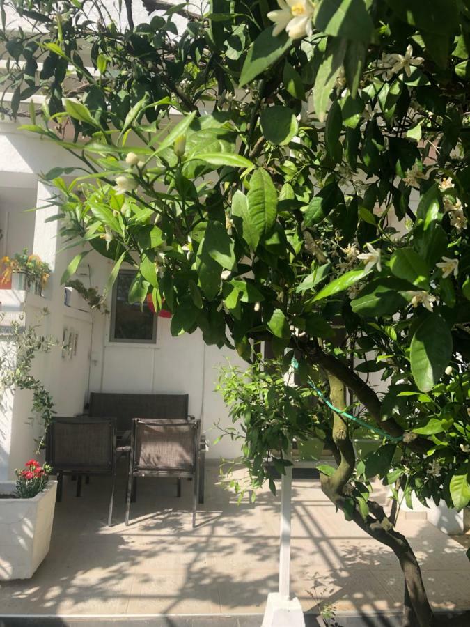 Apartments Mia Patria Ulcinj Kültér fotó